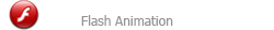 Flash Animation
