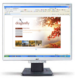 Dragonfly Planning